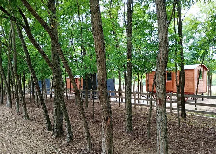 Alpacacamp